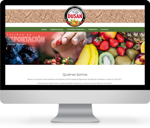 Sitio web Comercializadora Dusan