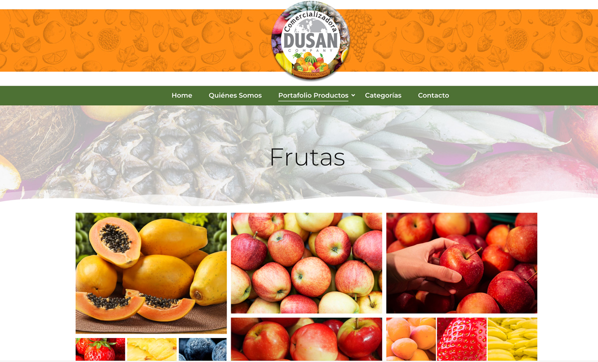 Sitio web Comercializadora Dusan