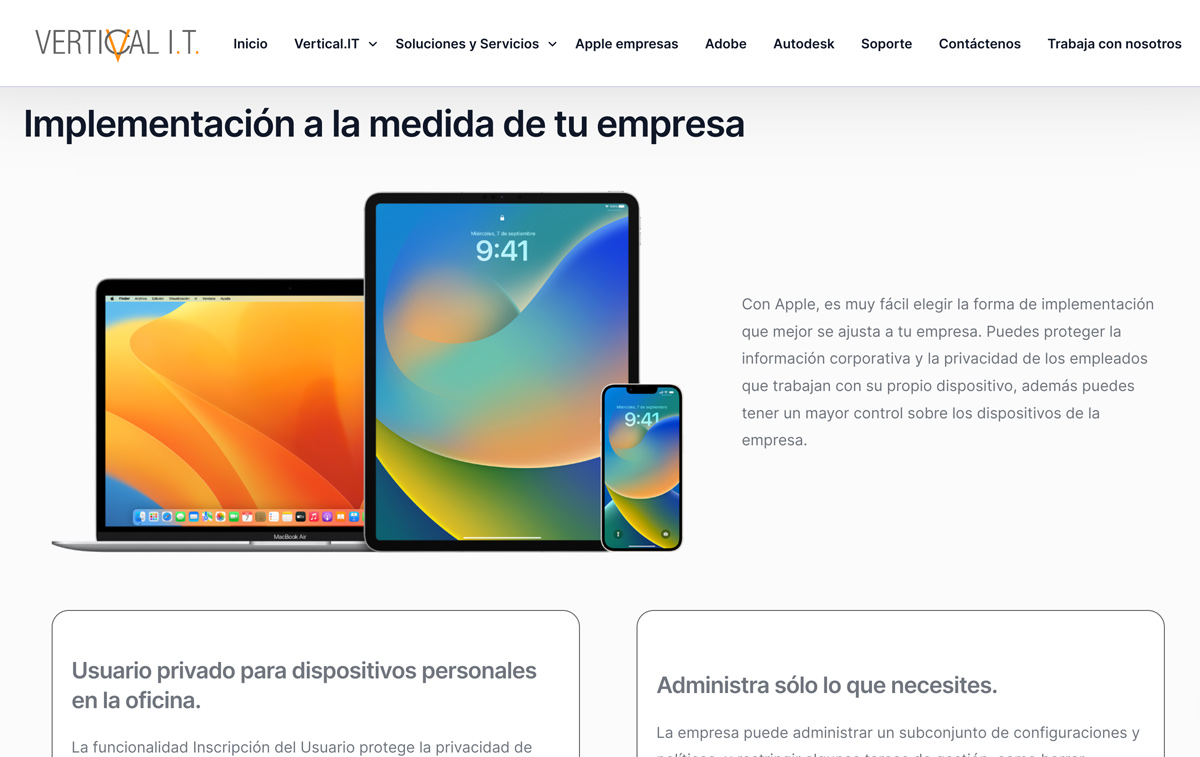 Sitio Web Vertical IT